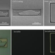 Illustration for article titled Carbon nanotubes could be hiding bits of the universe